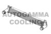 AUTOGAMMA 105948 Intercooler, charger